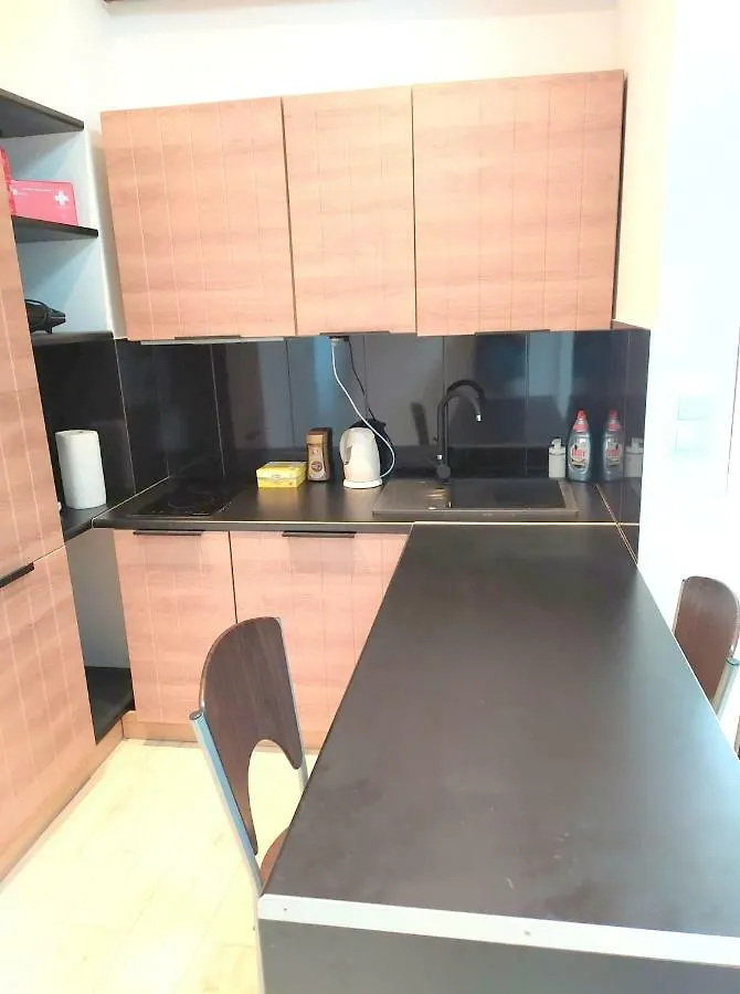 Old Town Mystery- Apartment Poznan
